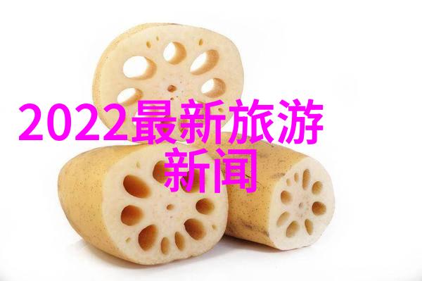 探秘异国风光全球游记350字作文大全