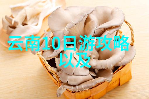 海南的奇迹之地探秘三亚石灰岩山林