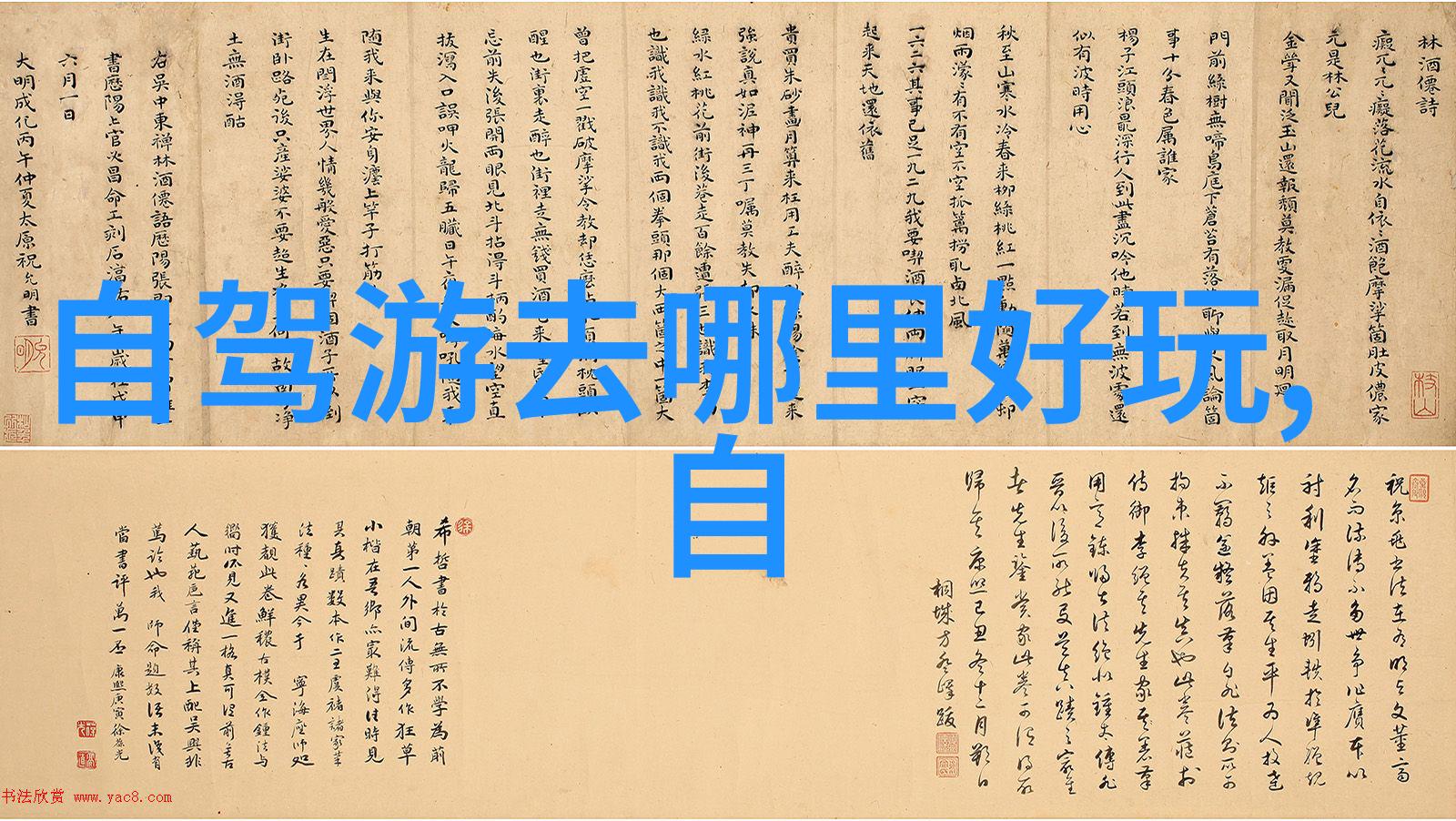 我要告诉你一个超棒的秘密快来下载它吧这款app骑行软件让你的出行更省心