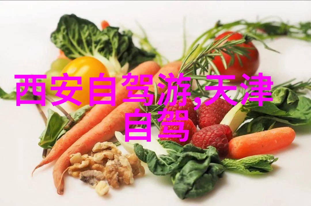 中国的出境游是哪年开始的探索国门初开的历史足迹