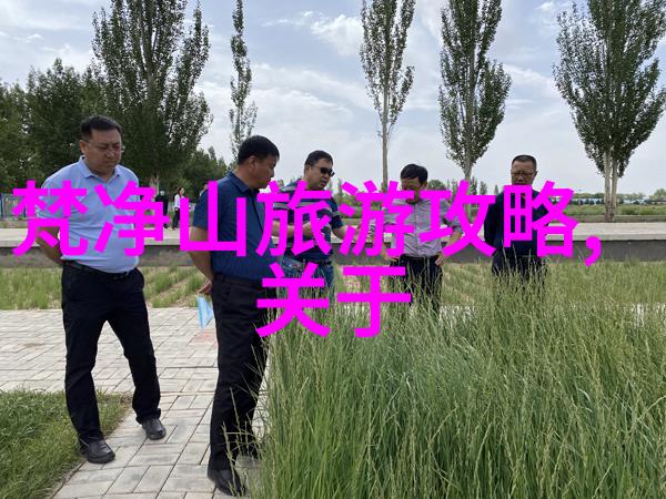 夏日西湖游记探索自然之美的经历