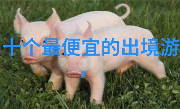 安哥拉维特沃河瀑布群非洲最壮观水系之一