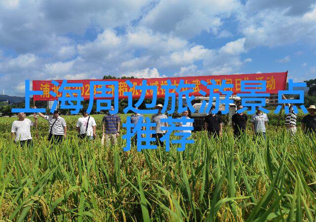 感受四季变化享受大自然之美北方春季徒步指南