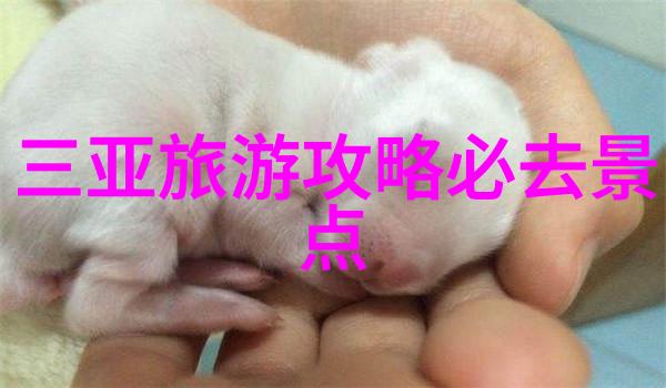 普陀山之谜揭秘古刹背后的神秘传说