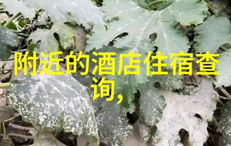 探秘獐岛乐土一日游指南与预算规划