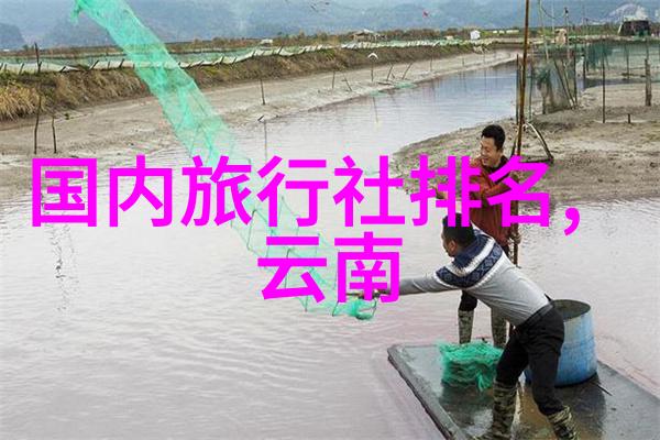 公路自行车-最佳坐姿技巧提高骑行效率与舒适度