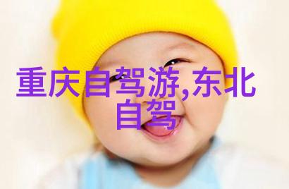 认知基本的维护与保养知识