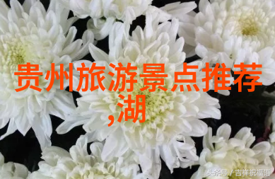 广州探秘指南精选住宿推荐与行程攻略