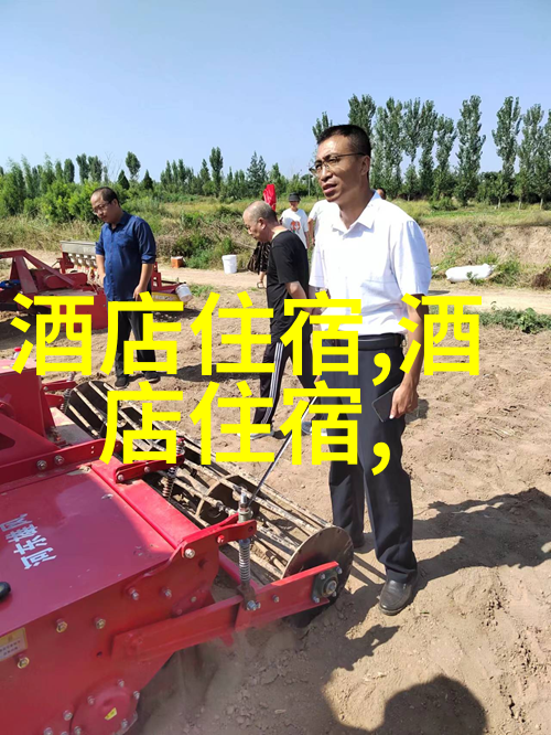 广州美食之旅品味老字号的传统与魅力