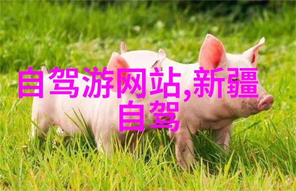探秘四川美景峨眉山旅游攻略全解析