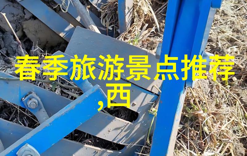 六盘山国家森林公园住宿我在这片翠绿如茵的天然氧吧里找到了家的感觉