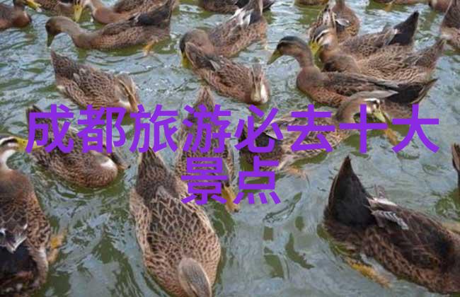 当旅途尽头心中又何去何从