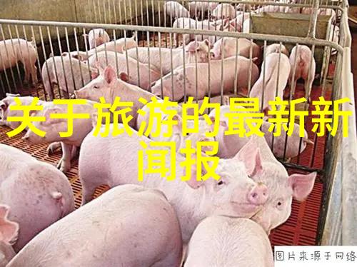 中国美丽乡村探索之旅深入体验传统农家乐