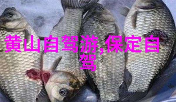 重庆的奇迹探索璀璨星光之都