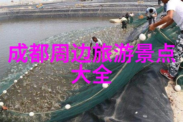 春暖花开的旅途探寻二月美丽景色