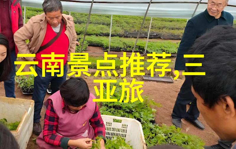 户外活动有哪些项目你想去的那些野外冒险从徒步到露营再到水上乐园