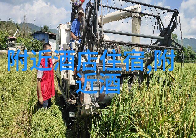 全球旅游景点TOP100探索人气胜地的魅力与秘密