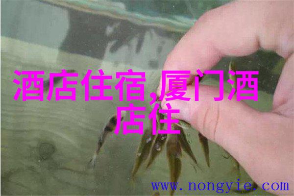 中国旅游网账号怎么用我是如何轻松掌握中国旅游网账号使用的小窍门