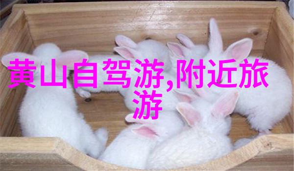 一口一口吃掉胸口的奶油的视频我是怎么在视频里无奈地吃掉胸前那块奶油的