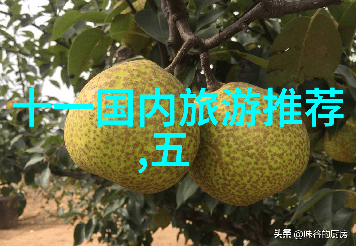 结伴自驾游-云端翱翔地面漫步探索自然之美的无限旅程