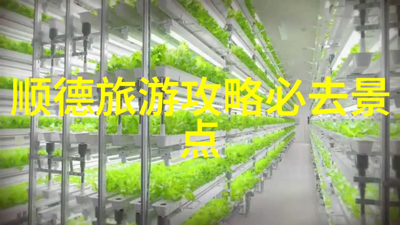 上海百元以内的住宿攻略发现城市魅力中的经济舒适区