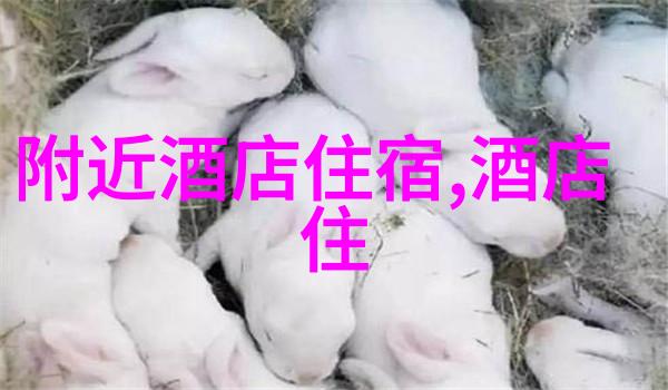 冰封古镇绽放花朵揭秘中国少有的冬季旅游胜地