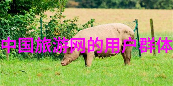 上海之脉一平方米的呼吸