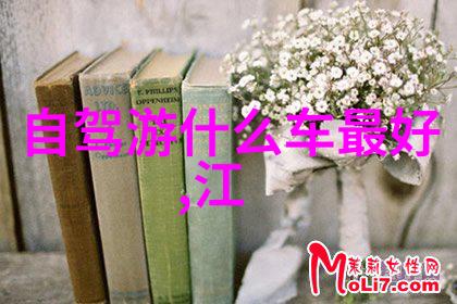 江苏的秘密花园揭开千年古城背后的迷雾之旅