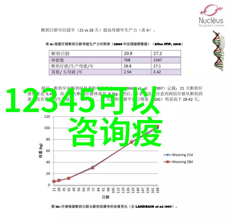 游记中考满分作文技巧精讲与实践提升写作水平轻松拿高分