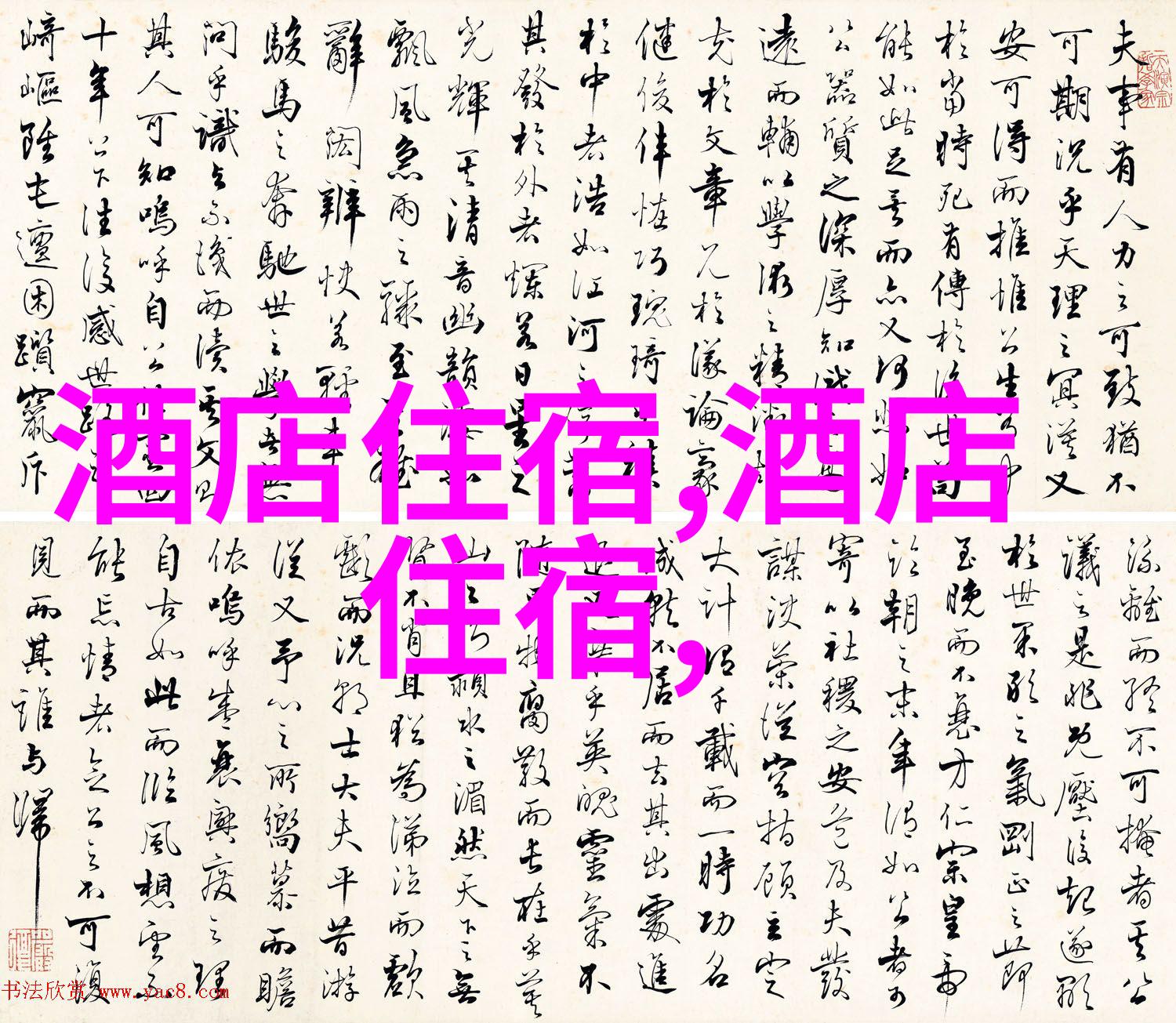 自驾游英语 - 探索世界之旅的语言秘密