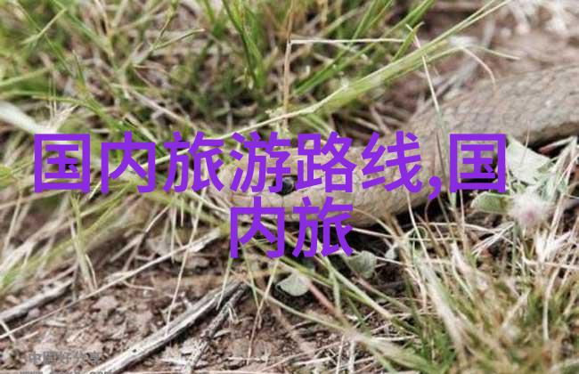厦门自由行住宿攻略青岛旅游的灵魂伴侣