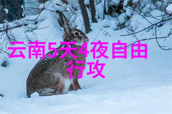 探索非典型目的地昆明石林香格里拉等地六日游报价介绍