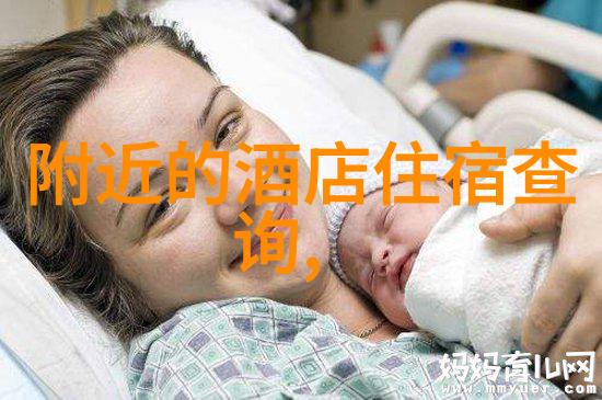 新世界新梦想纽约大都会艺术博物馆简述