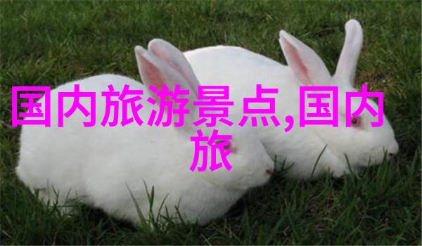 追逐梦想踏上征程初三学生的游记故事