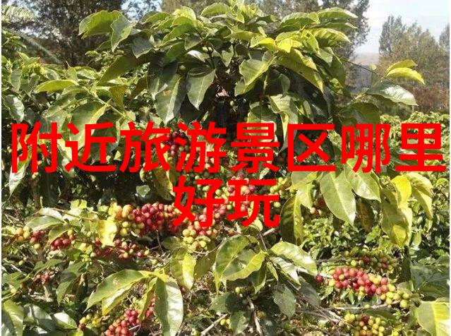 梅山龙宫秘境探寻传说中的水下瑶池与奇珍异兽