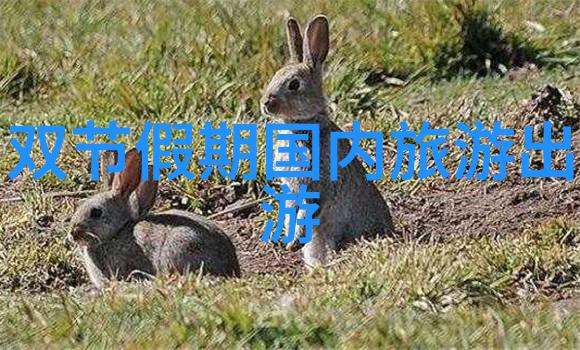 上海美食盛宴品味本土风味与国际特色