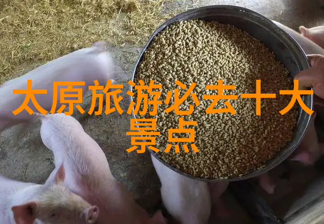 中国美食风华探索各地特色佳肴