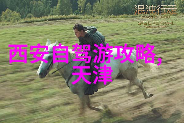 春节去哪里旅游暖和便宜我要去热带海岛度过一个阳光明媚的新春
