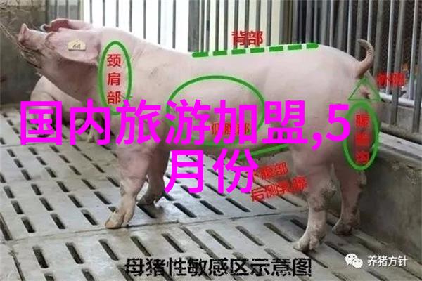 空姐邀您去旅行亚欧博览会三日游旅游团报价
