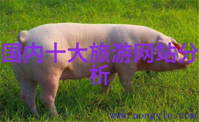 腾冲探秘自驾游厦门的迷人足迹