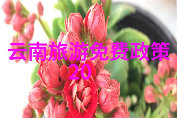 重庆璀璨探秘长江流域的奇迹与景观