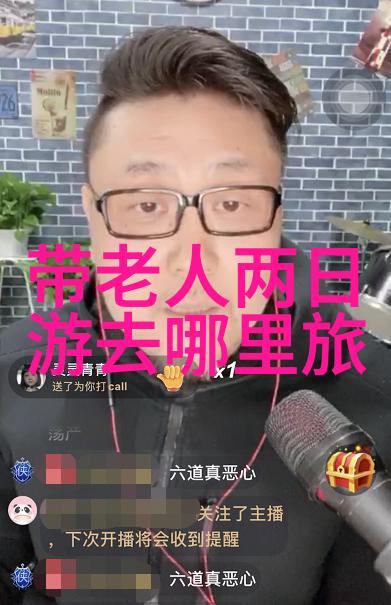 四年级下册探索游什么的魅力