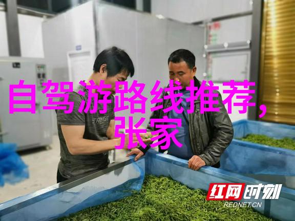 西双版纳当地跟团游亲临热带雨林探秘奇遇