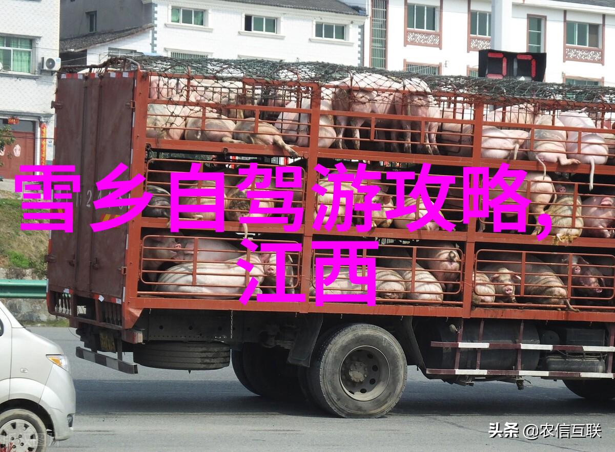 探索南京美食界的巅峰之选哪些餐馆不容错过