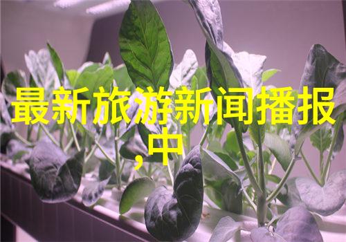 视频跟随我们一起走进历史纪录片式体验真实的衡山文化之旅