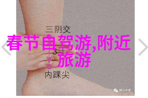 重庆摩天楼与山城的奇妙融合探索这座城市独特的旅游景点