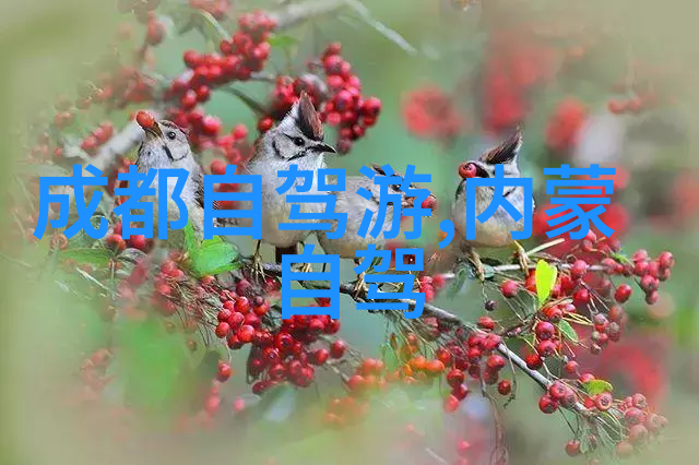 三亚度假趣谈民宿秘笈与海滩大笑