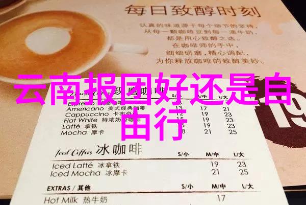 南京美食之旅品尝江苏的传统美味