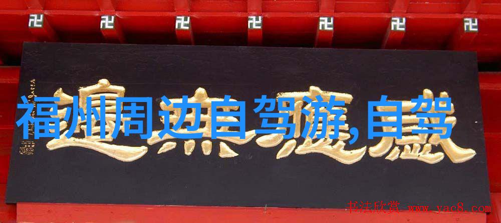 公路骑行选择自行车型号要考虑的因素