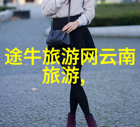 蝴蝶传媒广告翩跹在网络的色彩世界